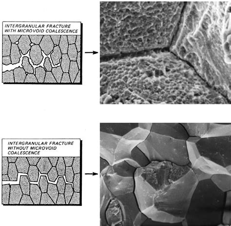 30 Intergranular Fracture With And Without Microvoid Coalescence SEM