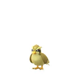 Pidgey (Pokémon GO) - Best Movesets, Counters, Evolutions and CP