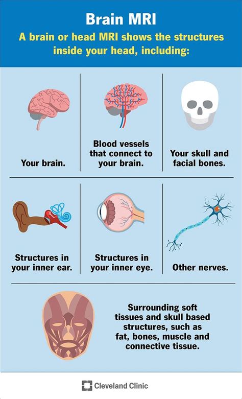 Brain MRI: What It Is, Purpose, Procedure & Results in 2024