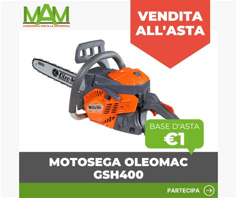 Motosega Oleomac GSH 400 Aste Macchine Agricoltura E Giardinaggio