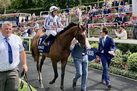 【海外競馬】最低人気パイルドライヴァーがキングジョージを快勝 競馬ニュースなら競馬のおはなし