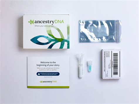 How The Ancestrydna Test Works