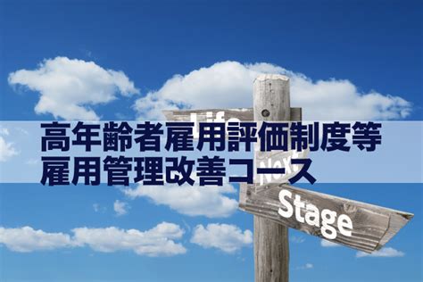 高年齢者評価制度等雇用管理改善コース（30万円）｜中高齢者が活用できる助成金