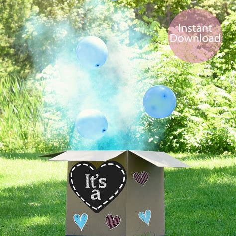 Gender Reveal Box Sign Sign For Gender Reveal Balloon Box Etsy