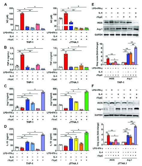 Rtcpc Suppresses The Expression Of Proinflammatory Factors And Inos