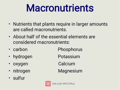 Solution Micronutrients And Macronutrients In Plants Studypool