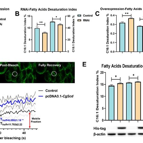 Pdf Cis And Trans Variations Of Stearoyl Coa Desaturase Provide