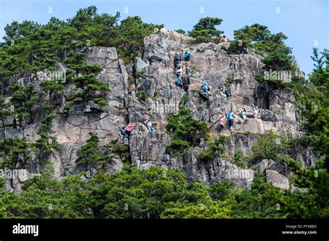 Beehive Cliffs Trail Beehive Mountain Hike Acadia National Park