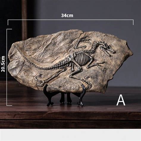 Dinosaur Fossil Specimen | Dinosaur decor, Dinosaur fossils, Dinosaur