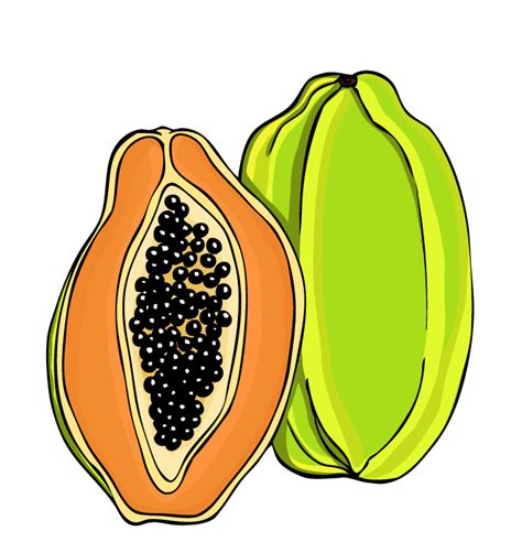 Free Papaya Cliparts, Download Free Papaya Cliparts png images, Free ...