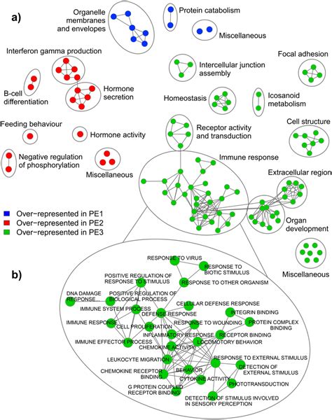 Gene Set Enrichment Analysis Gsea Results For The Comparison Of Pe