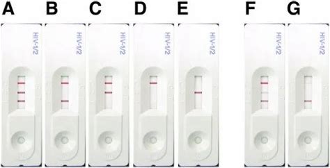 Plastic SD Bioline HIV Rapid Test Kit At Rs 19 In Sirsa ID 20156252130