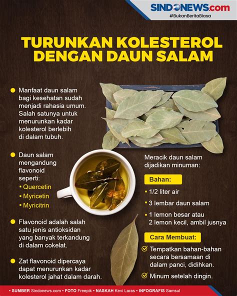 Cara Mengolah Daun Salam Untuk Turunkan Kolesterol Dapurgurih