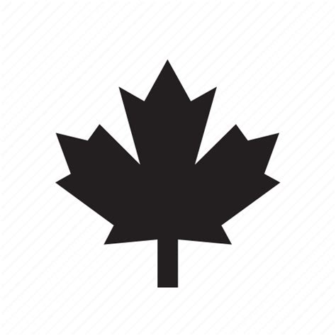 Canada Canadian Leaf Maple Nature Icon