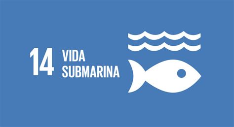 Conservar y utilizar sosteniblemente los océanos los mares y los