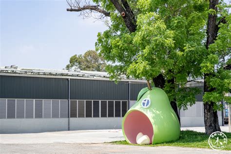 台南麻豆景點麻豆區農會柚兒園免門票柚子吉祥物舊農會大變身成網美景點 桃桃s旅人手札