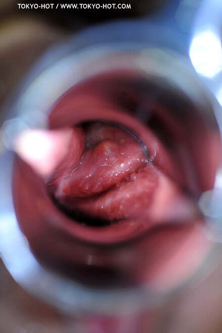 Tokyo Hot N Set Nagisa Toyokawa Porn Pic