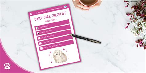 Rabbit Care Daily Checklist Bunny Care Twinkl Pets