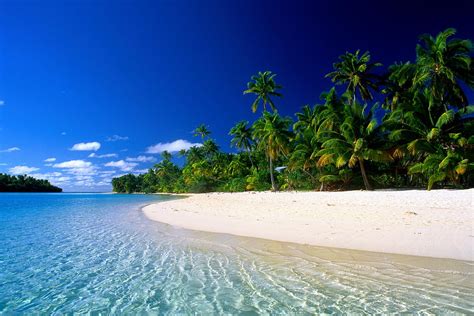 Green Coconut Trees Nature Landscape Water Sea Hd Wallpaper