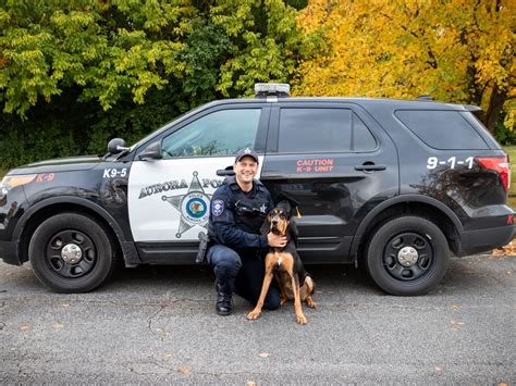 1st Bloodhound K-9 Is Newest Member Of Aurora Police Department ...