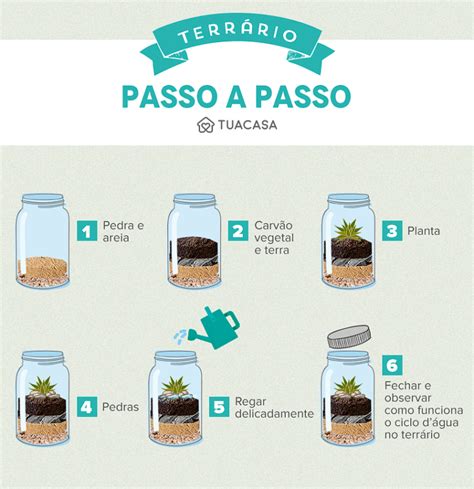 Terrário como fazer e 30 ideias para montar o seu Ideias de terrário