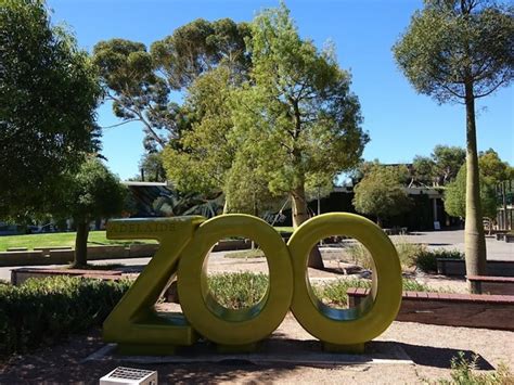 Best 4 Things To Do In Adelaide Zoo