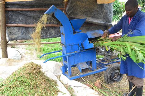 How To Prepare Silage Harvest Money