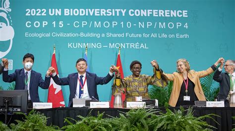 Cheat sheet to the Kunming Montréal Global Biodiversity Framework