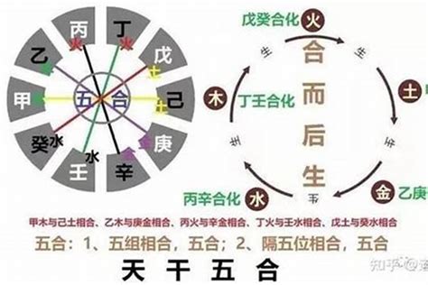 八字天干五合是什么意思？财运若朴堂文化