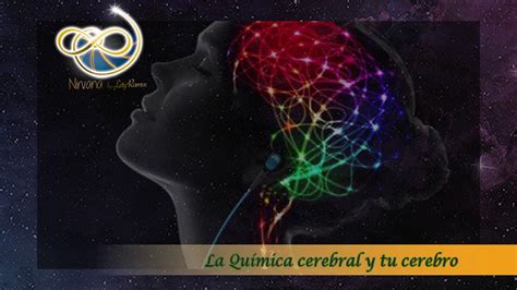 La Quimica Cerebral Y Tu Cerebro Youtube