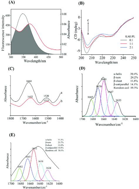 A Spectral Overlap Of The Uv Vis Absorption Spectrum Of Kaempferol