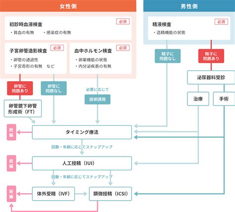 一般的な治療の流れ 生殖医療専門 虹クリニック 医療法人財団 荻窪病院