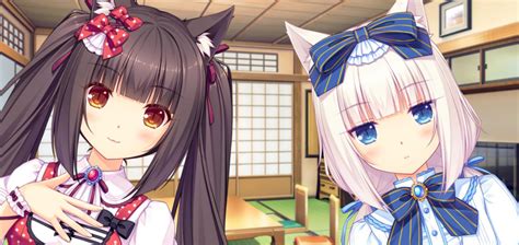 Azuki Nekopara Wiki Fandom Powered By Wikia