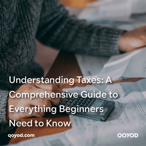 A Beginners Guide To Understanding Taxes Qoyod