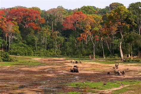 What Is The Capital Of The Central African Republic Worldatlas