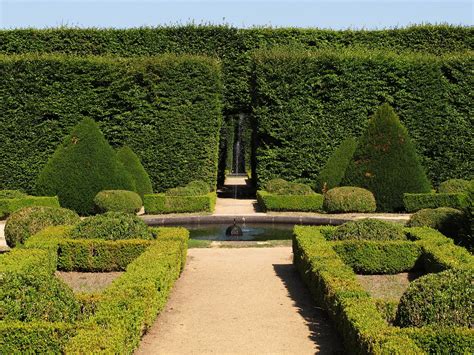 Ogród w stylu francuskim Podstawowe założenia Gardenyard