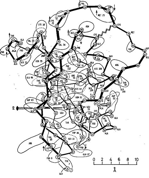 Figure From Crystal Structure Of A Protein Proteinase Inhibitor