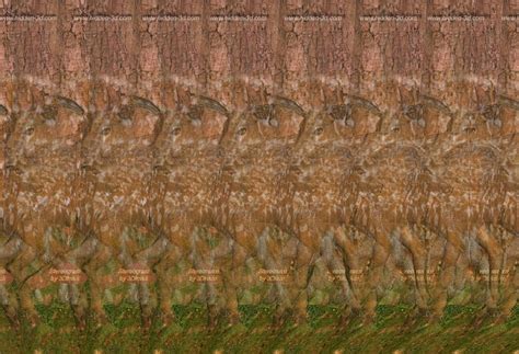 Magic eye Photo: Magic eyes | Magic eye pictures, Magic eyes, Eye illusions