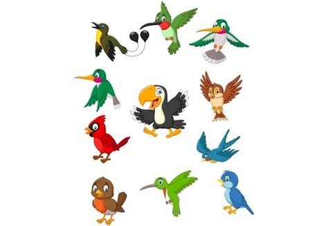 Birds Clipart Set Graphic Graphic By Tigatelusiji Creative Fabrica