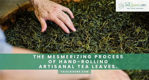 The Mesmerizing Process Of Hand Rolling Artisanal Tea Leaves Talk