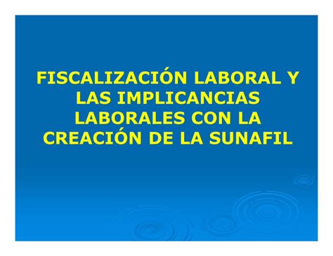 Pdf Fiscalizaci N Laboral Y Las Implicancias Laborales Ordenar El