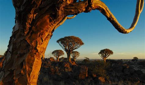 Fish River Canyon In Namibia Tours Travel Guide