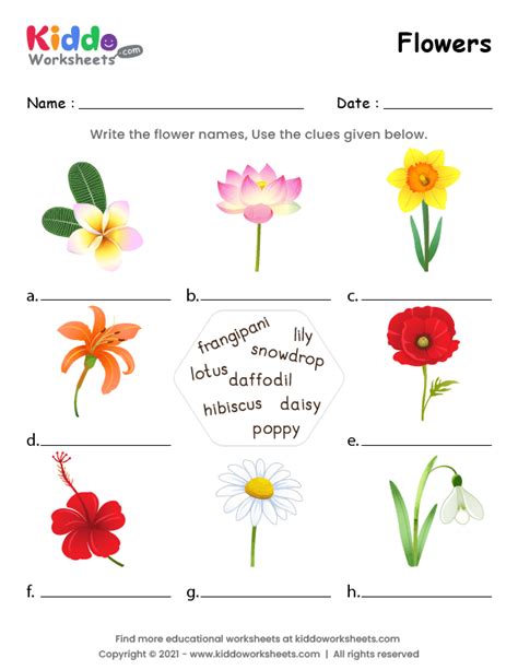 Match The Flowers With Their Name Worksheet 1 Teaching My Kid