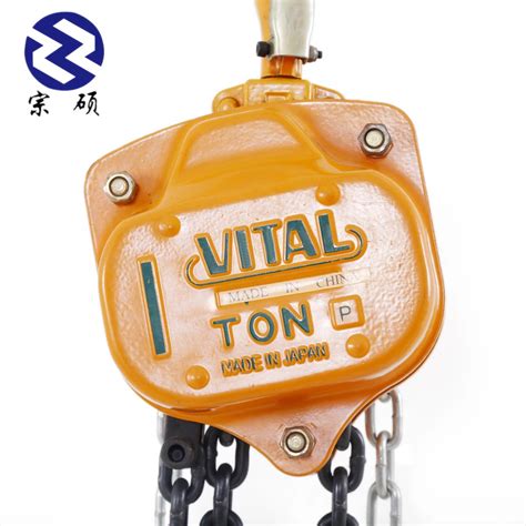 1 Ton 2 Ton 3 Ton 5 Ton 10 Ton Vital Type Chain Block Hoist For Lifting