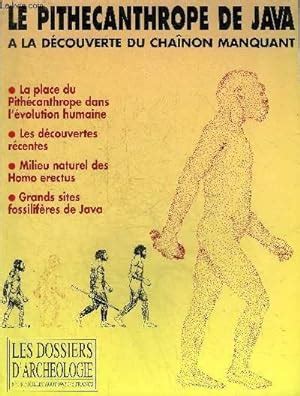 DOSSIERS DE L ARCHEOLOGIE N 184 JUILLET AOUT 1993 LE PITHECANTHROPE