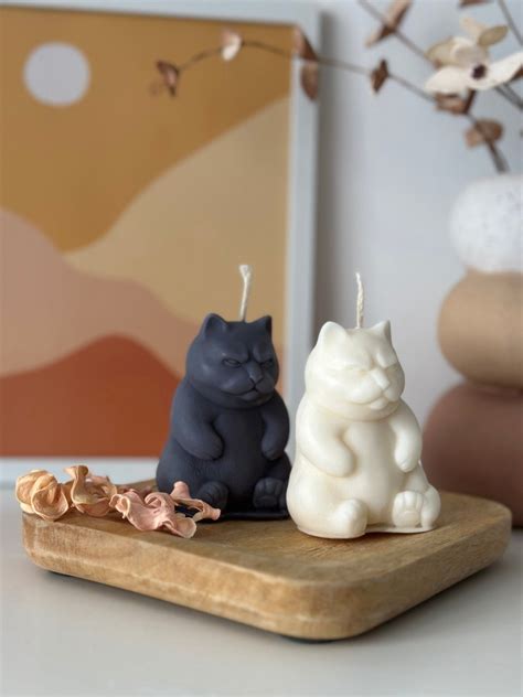 Fat Cat Ornament Cute Candles Bookshelf Apartment Decor Aesthetic