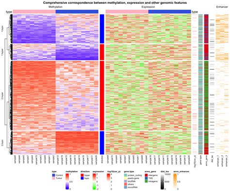 Chapter More Examples Complexheatmap Complete Reference