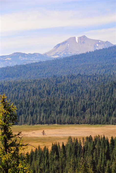 Spreading my Wings: Lassen National Forest