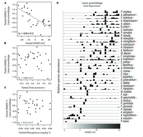 Relationship Between Liana Species Composition Nmds 1 And The Three Download Scientific