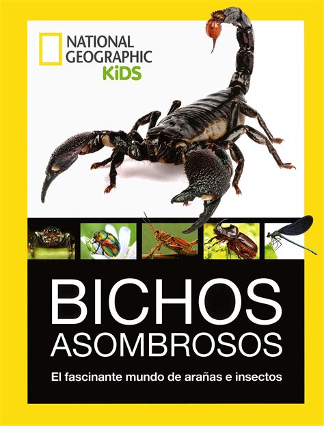 Buy Bichos Asombrosos El Fascinante Mundo De Ara As E Insectos Online